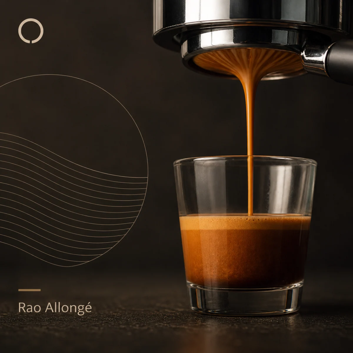 Rao Allongé profile cover